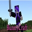 BunnyCraft logo
