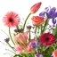 Spring's Mod of Randomness logo