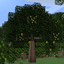 Dynamic Trees - Cuisine logo