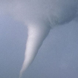 tornads logo