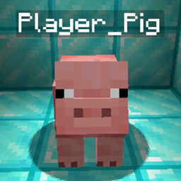 PlayerPig project image