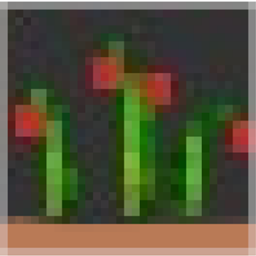 NewBiomes-9.0.0