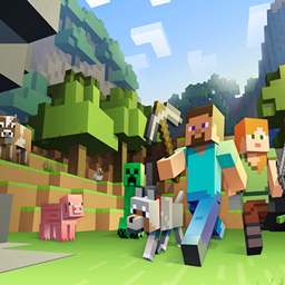 Chill & Survie project image