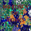 big bunch of biomes logo