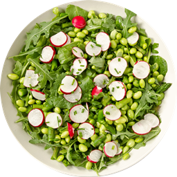Spring Salad