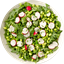 Spring Salad logo