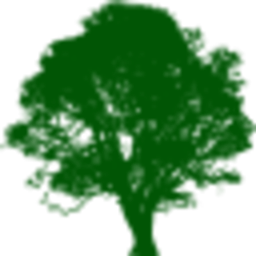 The Sycamore Seed