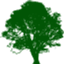 The Sycamore Seed logo