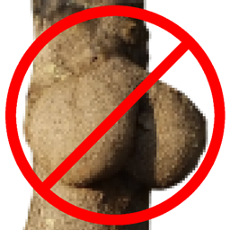 StripTrease project image