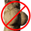 StripTrease logo