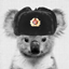 KoalaWithUshanka's Modpack logo