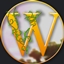 WildSMP Modpack logo