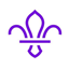 TheBoisModpack logo