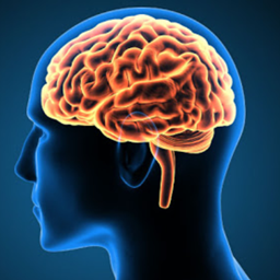 Headcrack logo