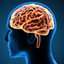Headcrack logo