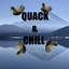 Duck chill modpack logo