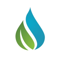 MC Immersed logo