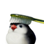 HappyLife logo