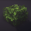 Techy's Bushy Leaves logo