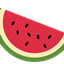 TheWaterMelonModPack logo