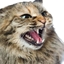 Miinkoy Modpack logo