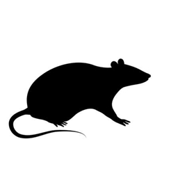 RatPack+ for the bois