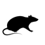 RatPack+ for the bois logo