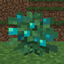 More Plants & Flowers logo
