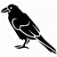 Fazhirr's Cat Toys logo