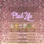 Plush Life - Craft, Decorate, Hug logo