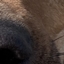 Cannolicraft logo