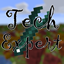 Tech Expert logo