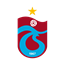 tsmodv2 logo