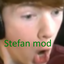 Stefan Flipside logo
