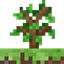 Sky Farm Client logo