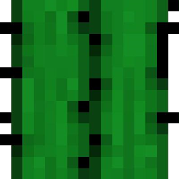Cactus Stuff logo