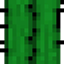 Cactus Stuff logo