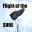 The flight of the shoe logo