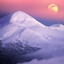 Project Tundra logo