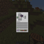 party mincraft logo