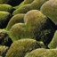 Buttmoss Infinity logo