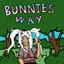 Bunnie's Way logo