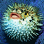 NaoiseFishLMAO's Good Modpack For An SMP logo