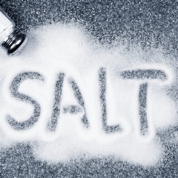 Salty SMP logo
