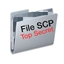 File SCP - Top Secret logo