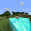 sher coll v2 logo