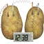 Project-FieryPotato logo