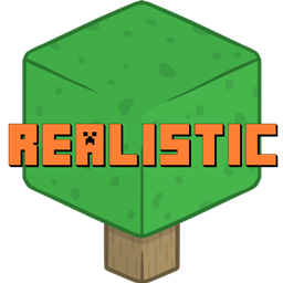 More Realism project image