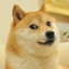 DogeCraft Rebirth logo