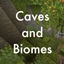 Caves n' Biomes logo